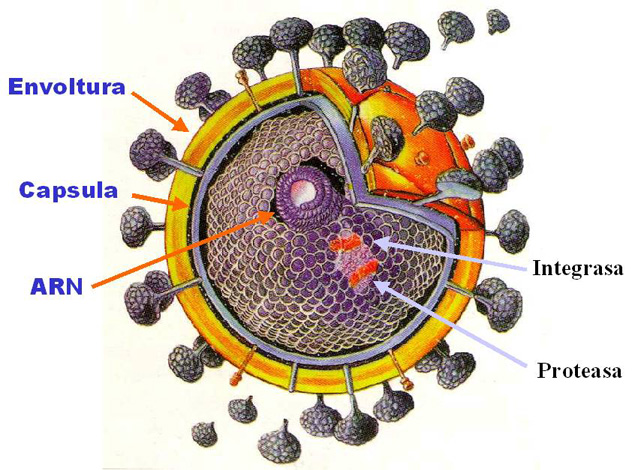 vih-1