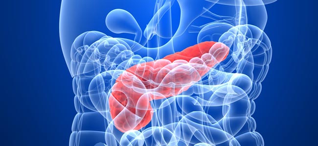 DIABETES-PANCREAS2