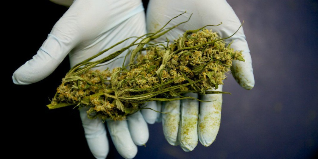 o-medicinal-cannabis-facebook