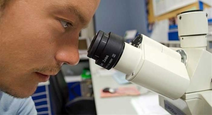 hormonas-vegetales-sinteticas