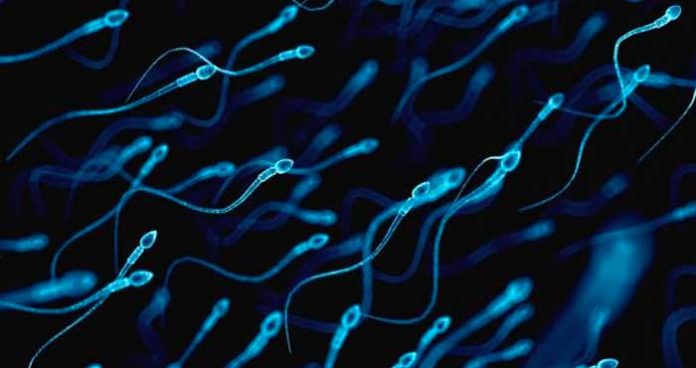 esperma
