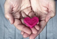 Regeneración del corazón: los científicos descubren uno de los secretos más profundos de la naturaleza